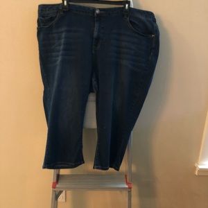 Size 26 Lane Bryant Stretch Capris